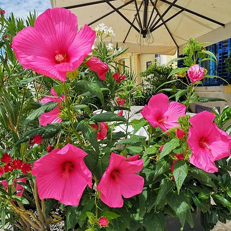 Michaela 4-sterne&parking * Rovinj