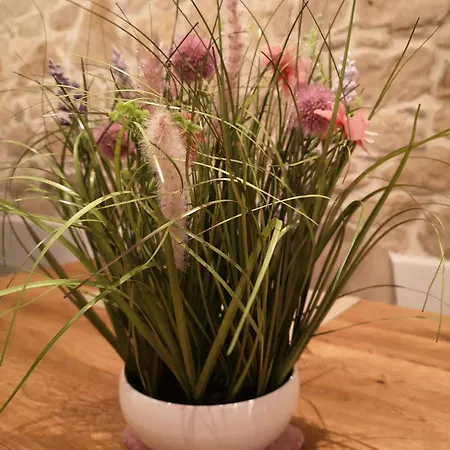 Michaela 4-sterne&parking Rovinj